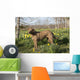 Female Chesapeake Bay Retriever Wall Decal