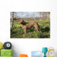 Female Chesapeake Bay Retriever Wall Decal