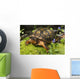 Eastern Box Turtle Sphagnum Wall Decal