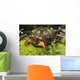 Eastern Box Turtle Sphagnum Wall Decal