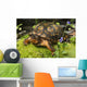 Eastern Box Turtle Sphagnum Wall Decal