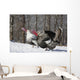 Male Narragansett Turkey and Wall Decal