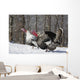 Male Narragansett Turkey and Wall Decal