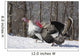 Male Narragansett Turkey and Wall Decal
