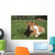 Guernsey Cow Chewing Cud Wall Decal