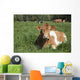 Guernsey Cow Chewing Cud Wall Decal