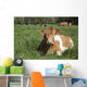 Guernsey Cow Chewing Cud Wall Decal