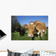 Jersey Cow with Guernsey Wall Decal