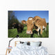 Jersey Cow with Guernsey Wall Decal