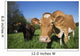 Jersey Cow with Guernsey Wall Decal