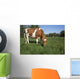 Guernsey Heifer Grazing Spring Wall Decal