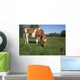 Guernsey Heifer Grazing Spring Wall Decal