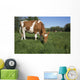 Guernsey Heifer Grazing Spring Wall Decal
