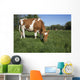 Guernsey Heifer Grazing Spring Wall Decal