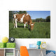 Guernsey Heifer Grazing Spring Wall Decal