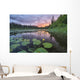 Sunset over Unnamed Lake Wall Decal