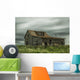 Long Exposure Clouds Going Wall Decal