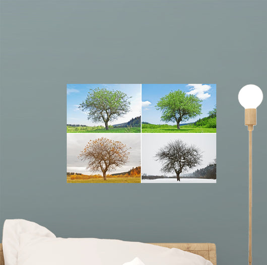 four season Wall Mural