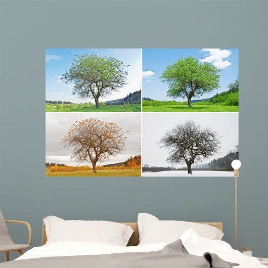four season Wall Mural