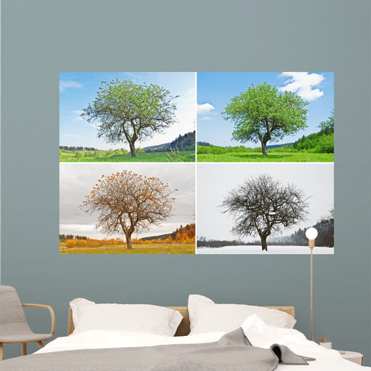 four season Wall Mural