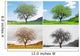 four season Wall Mural