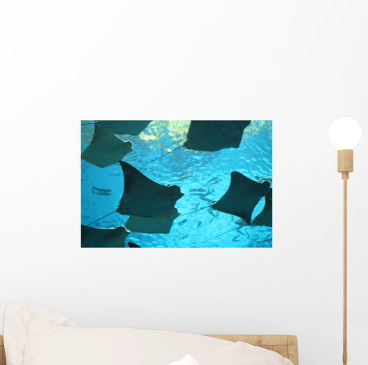 stingray Wall Mural