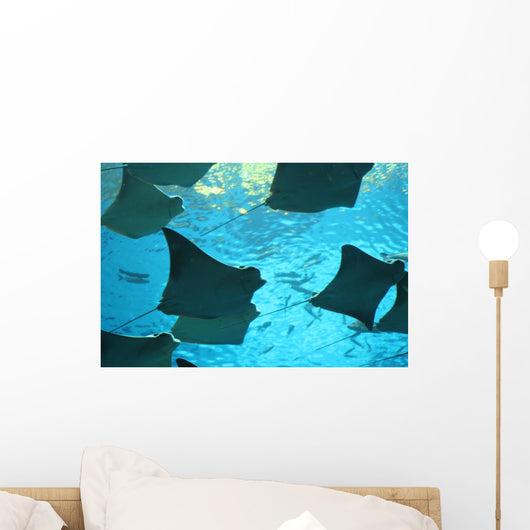 stingray Wall Mural