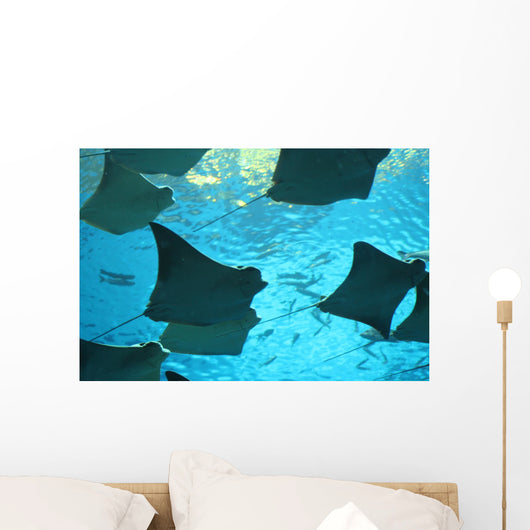 stingray Wall Mural
