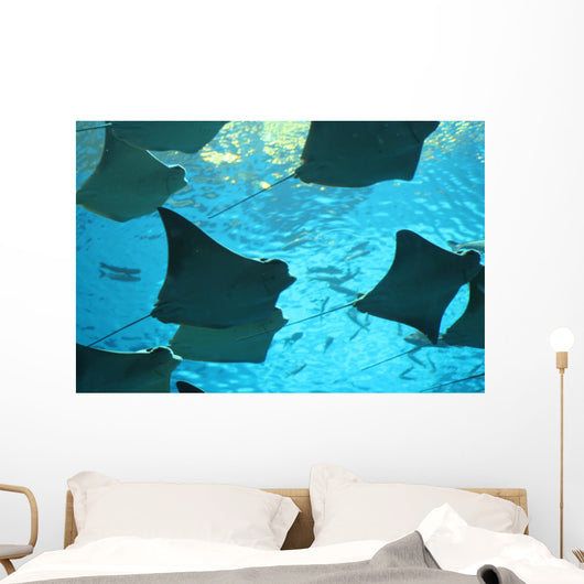 stingray Wall Mural