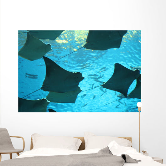 stingray Wall Mural