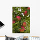 Apples Growing Tree Wall Decal