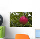 Up Apple Growing Tree Wall Decal