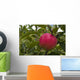 Up Apple Growing Tree Wall Decal