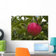Up Apple Growing Tree Wall Decal