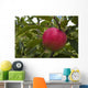 Up Apple Growing Tree Wall Decal
