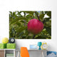 Up Apple Growing Tree Wall Decal
