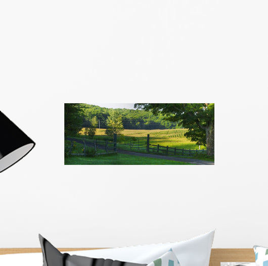 Corn Field Wall Decal Design 2