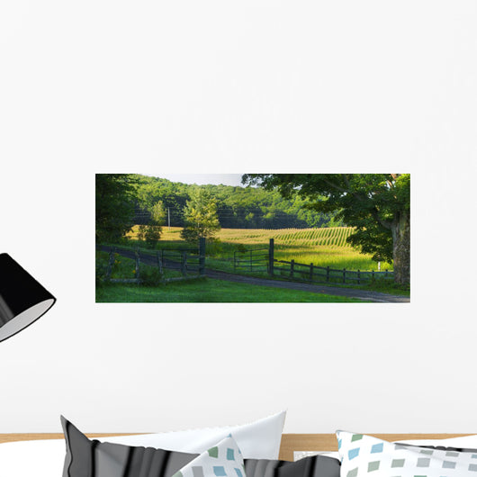 Corn Field Wall Decal Design 2