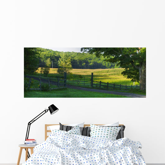 Corn Field Wall Decal Design 2
