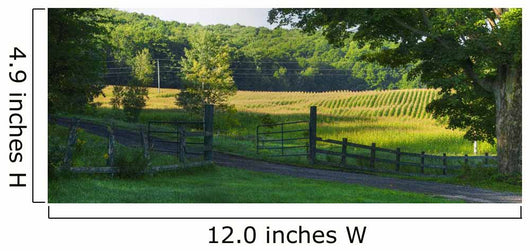 Corn Field Wall Decal Design 2