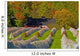 Vineyard Autumn Wall Decal Design 4