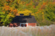 Vineyard Autumn Wall Decal Design 3