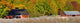 Vineyard Autumn Wall Decal Design 1