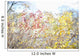 Fall Colors Midtown Toronto Wall Decal