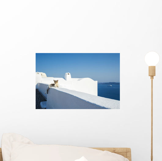 Cat Lays Whitewash Wall - Wall Decal