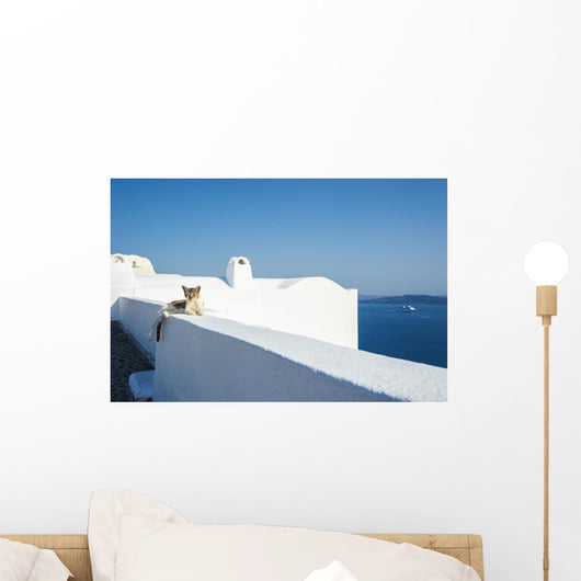 Cat Lays Whitewash Wall - Wall Decal