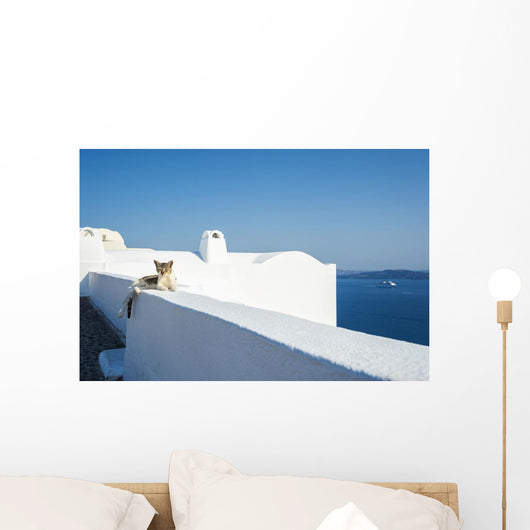 Cat Lays Whitewash Wall - Wall Decal