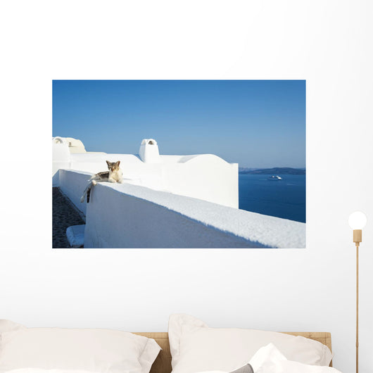 Cat Lays Whitewash Wall - Wall Decal
