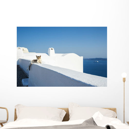 Cat Lays Whitewash Wall - Wall Decal
