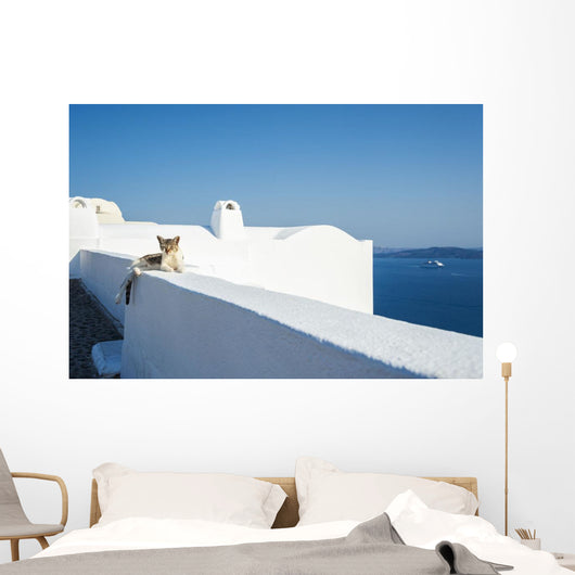 Cat Lays Whitewash Wall - Wall Decal